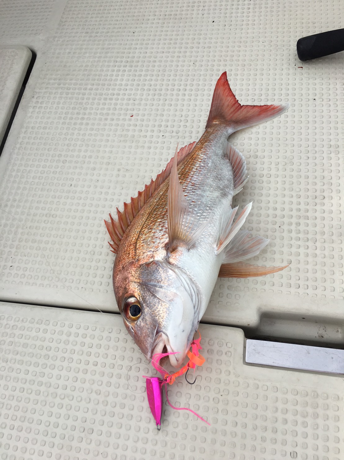 2016�N10��9���̃^�C���o�މʌ���