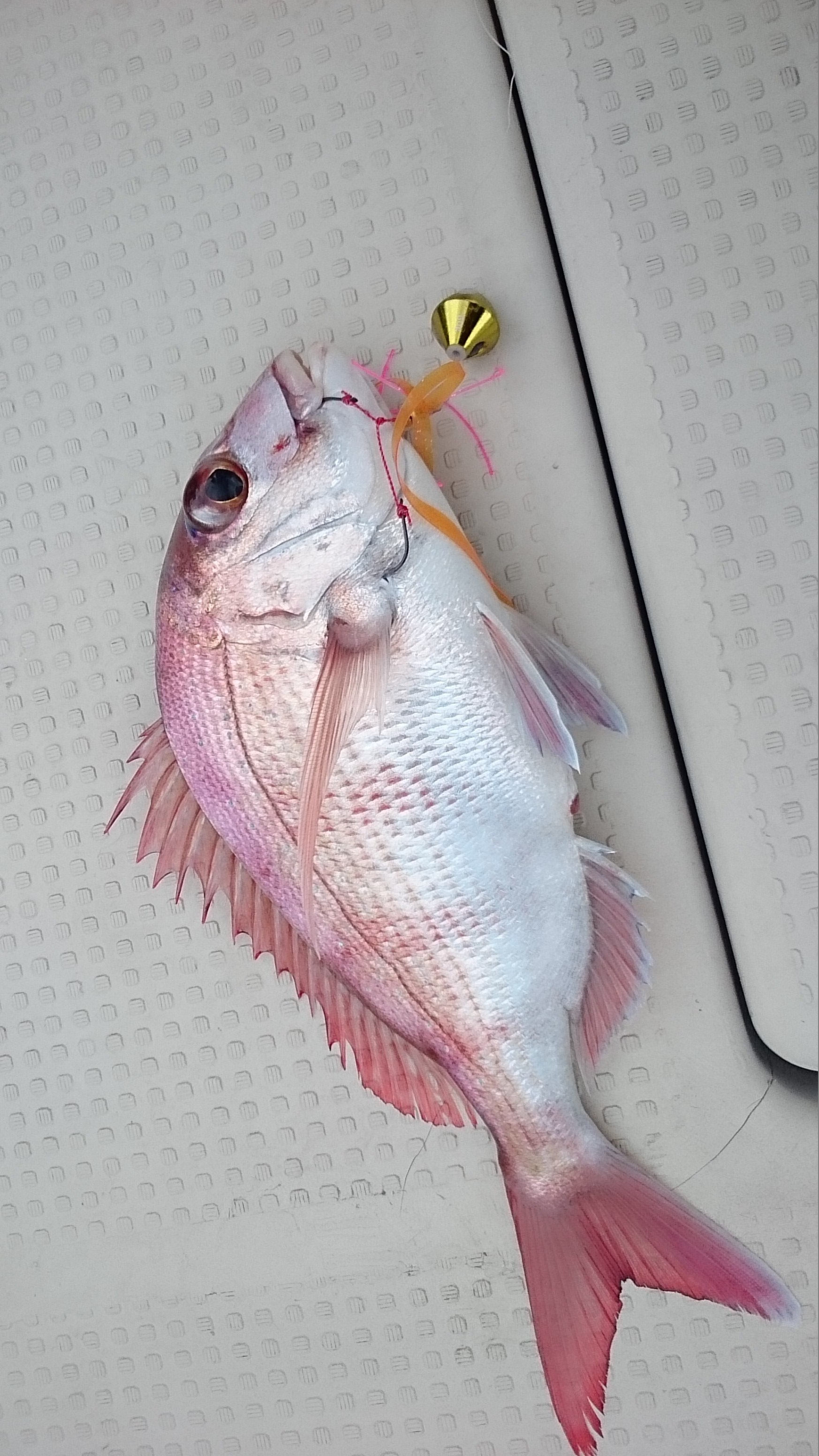 2016�N10��9���̃^�C���o�މʌ���