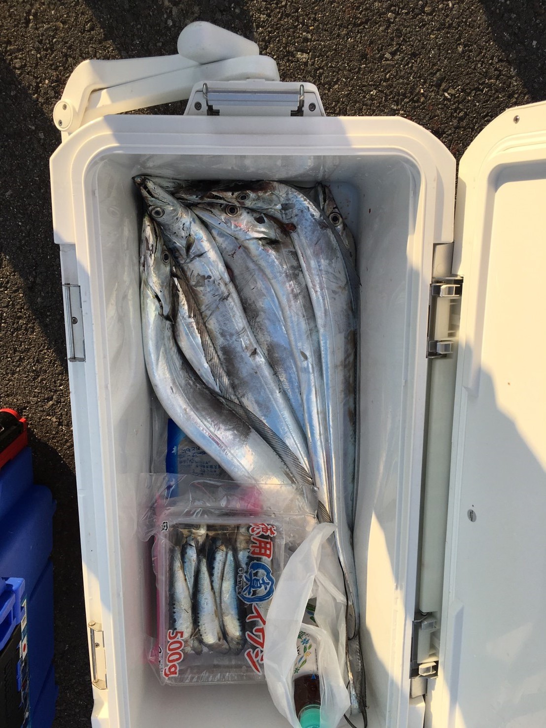 2016�N11��3���̒މʌ���