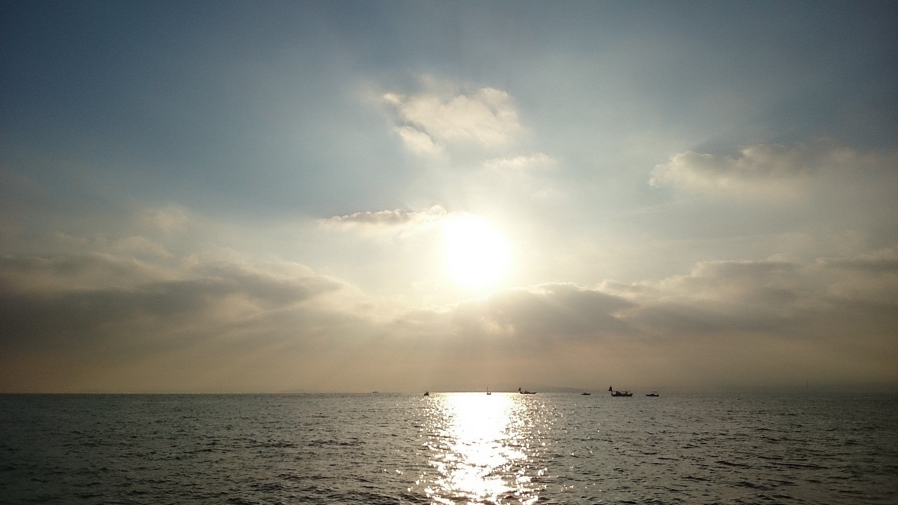 2016�N,12��3��,�^�`�E�I�ނ�,�މʌ���