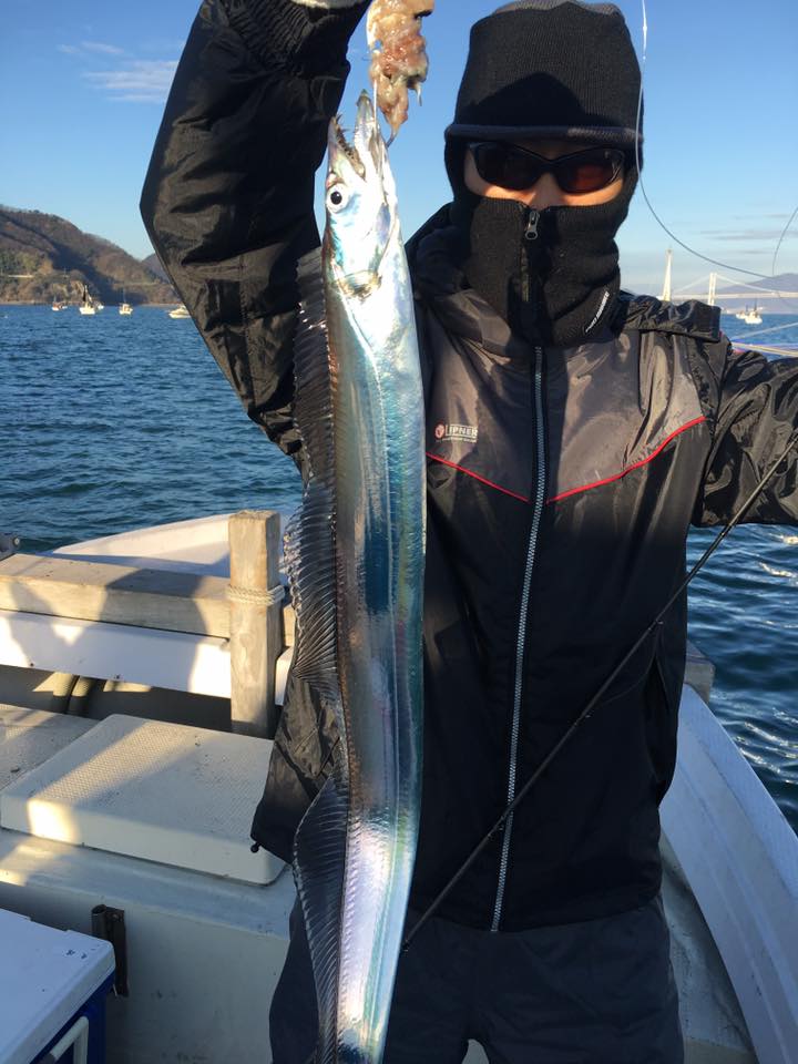 2016�N,12��31��,�^�`�E�I�ނ�,�މʌ���