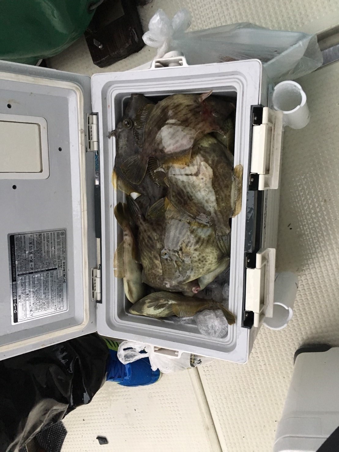 2016�N,12��4��,�J���n�M�ނ�,�މʌ���