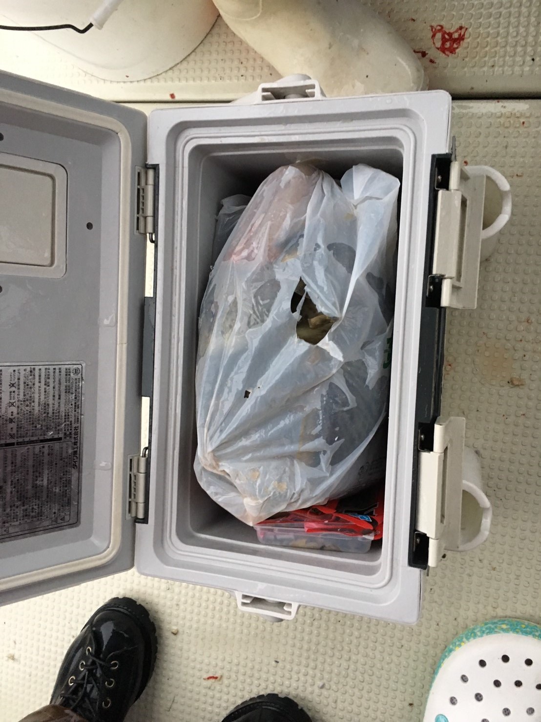 2016�N,12��4��,�J���n�M�ނ�,�މʌ���