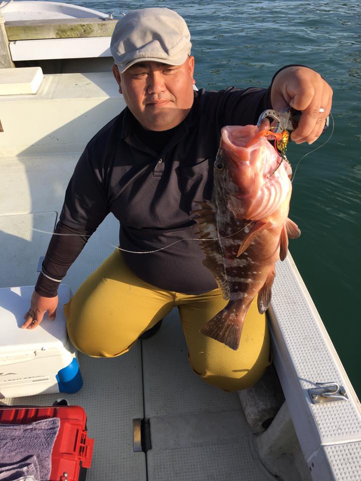 2016�N5���̒މʌ���