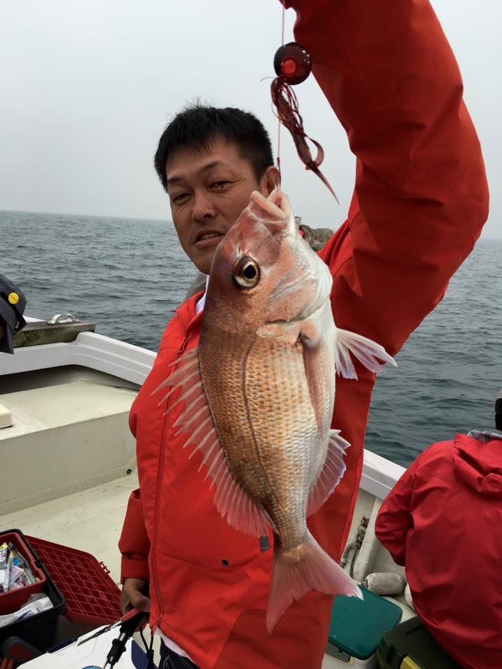 2016�N5���̒މʌ���