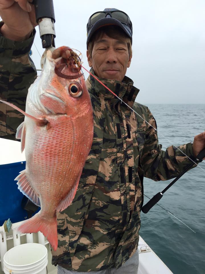 2016�N5���̒މʌ���