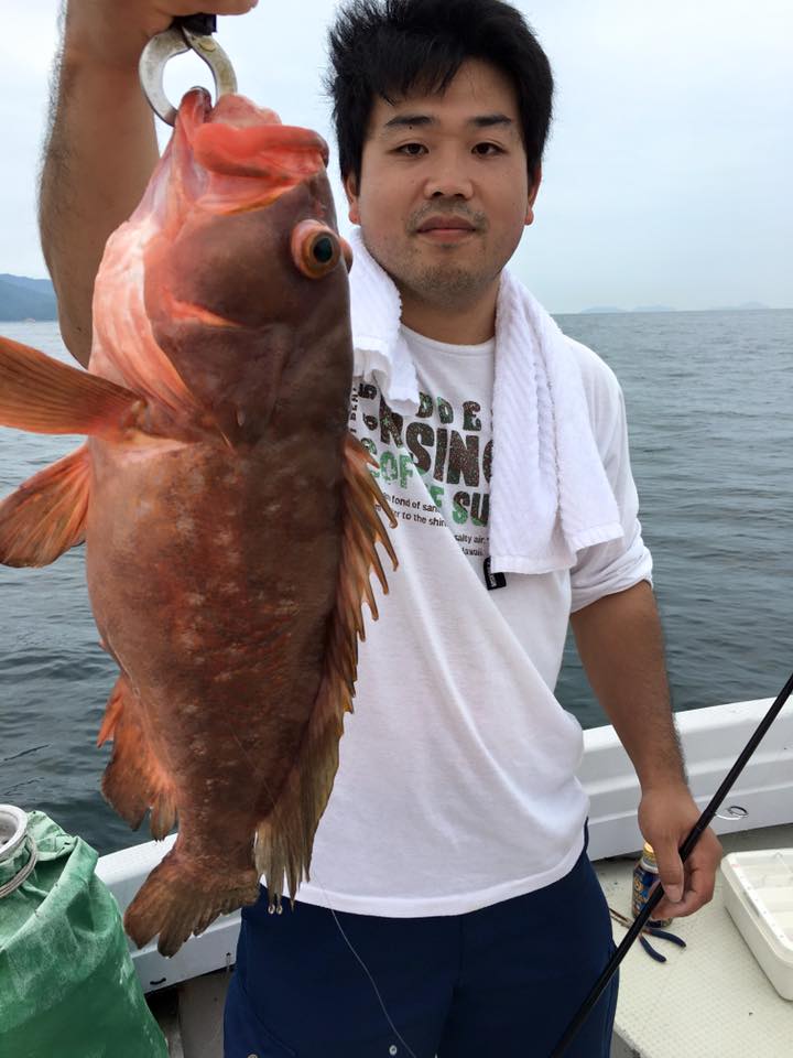 2016�N7���̒މʌ���