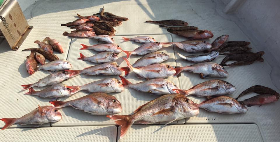 2016�N7���̒މʌ���