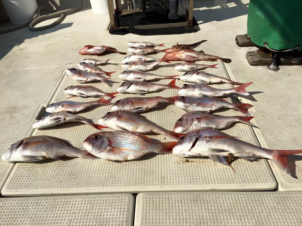 2016�N8���̒މʌ���