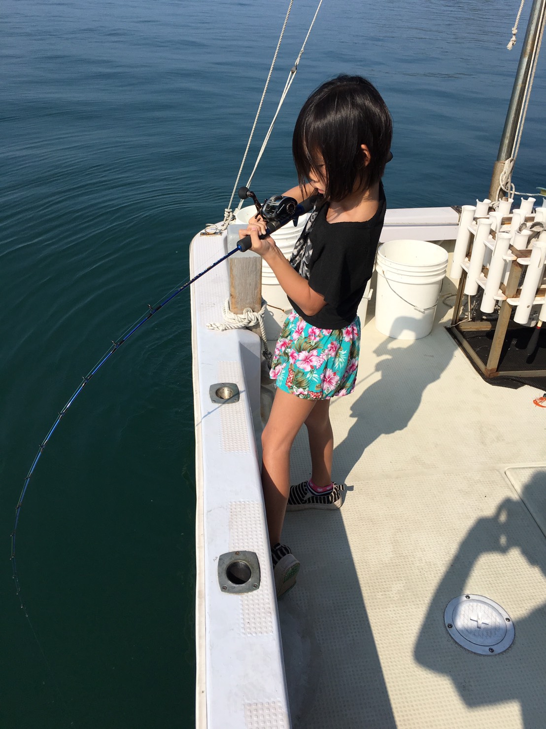 2016�N9���̒މʌ���