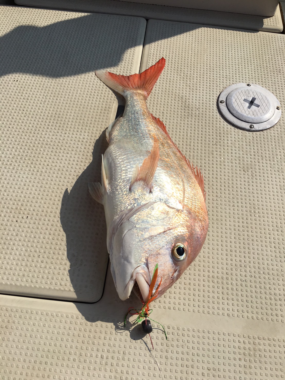 2016�N9���̒މʌ���