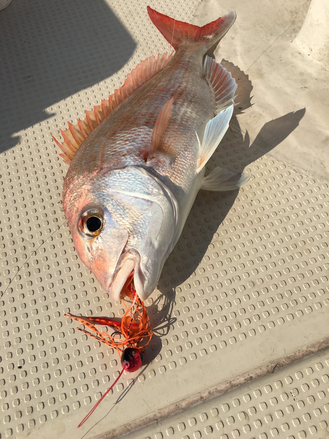 2016�N9���̒މʌ���