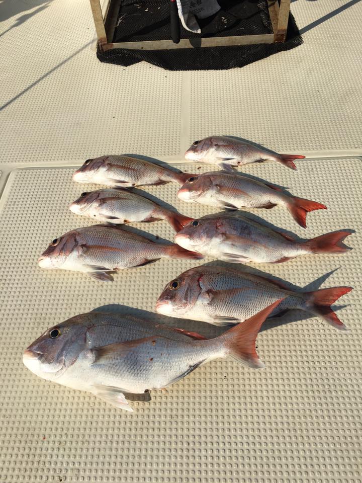 2016�N9��24���^�C���o�މ�