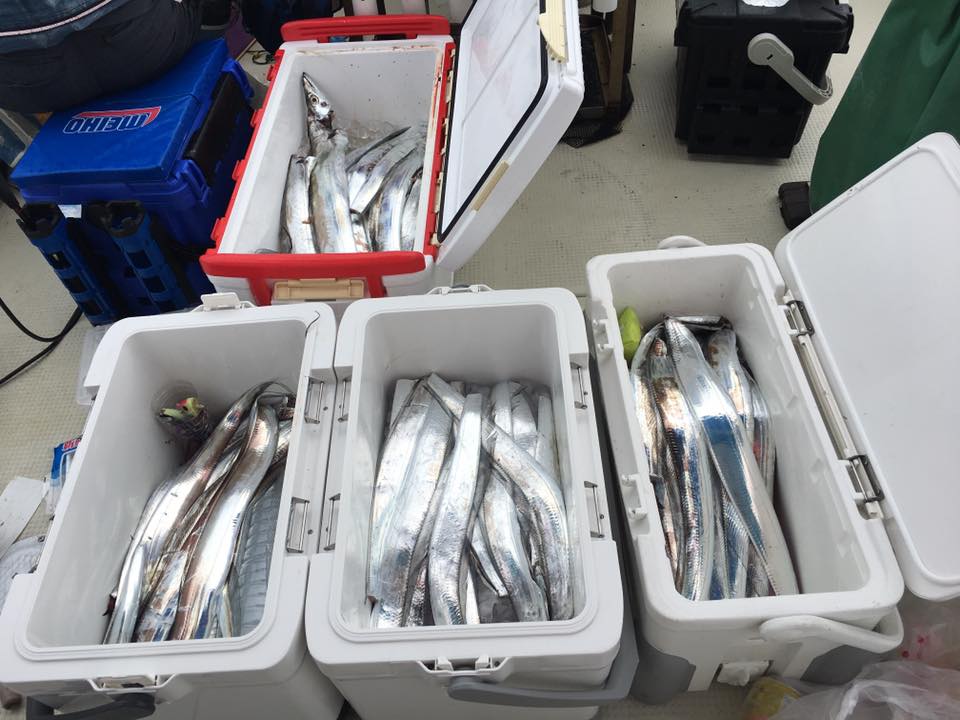 ���R,�V���D,�}�����Q�[�g,2017�N,10��14��,�^�`�E�I�މ�