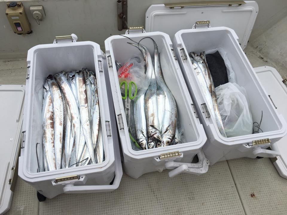 ���R,�V���D,�}�����Q�[�g,2017�N,10��14��,�^�`�E�I,�މ�