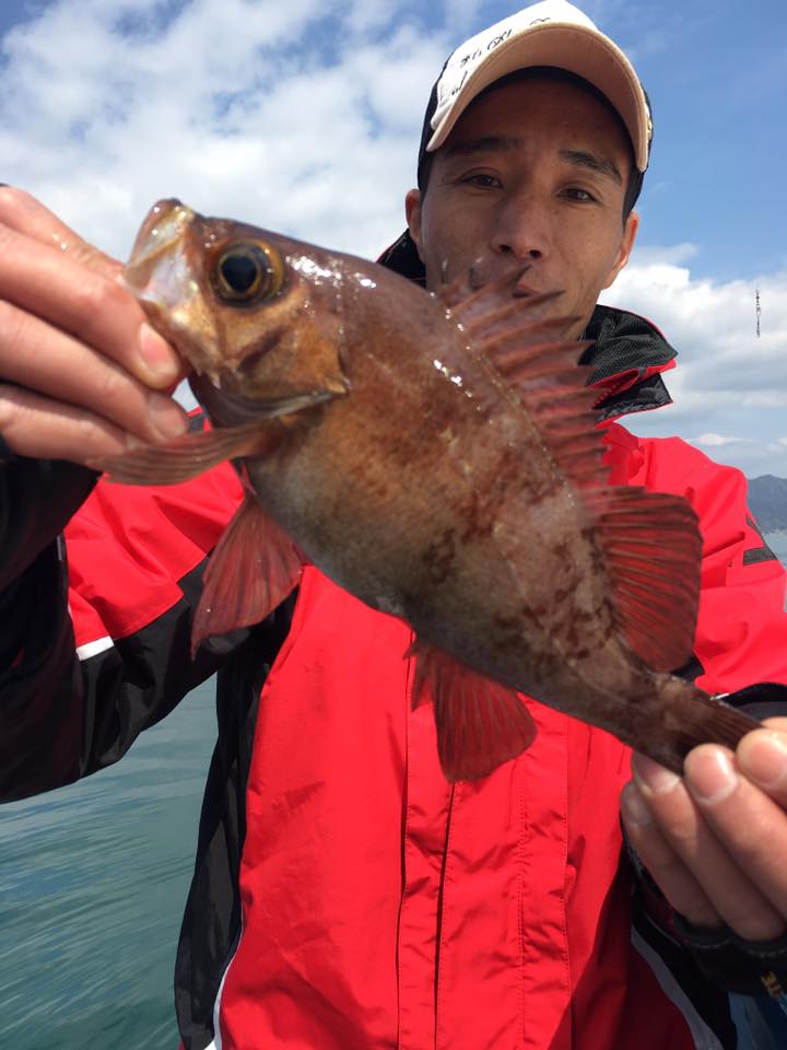 2017�N,4��2��,���o���ނ�,�މ�