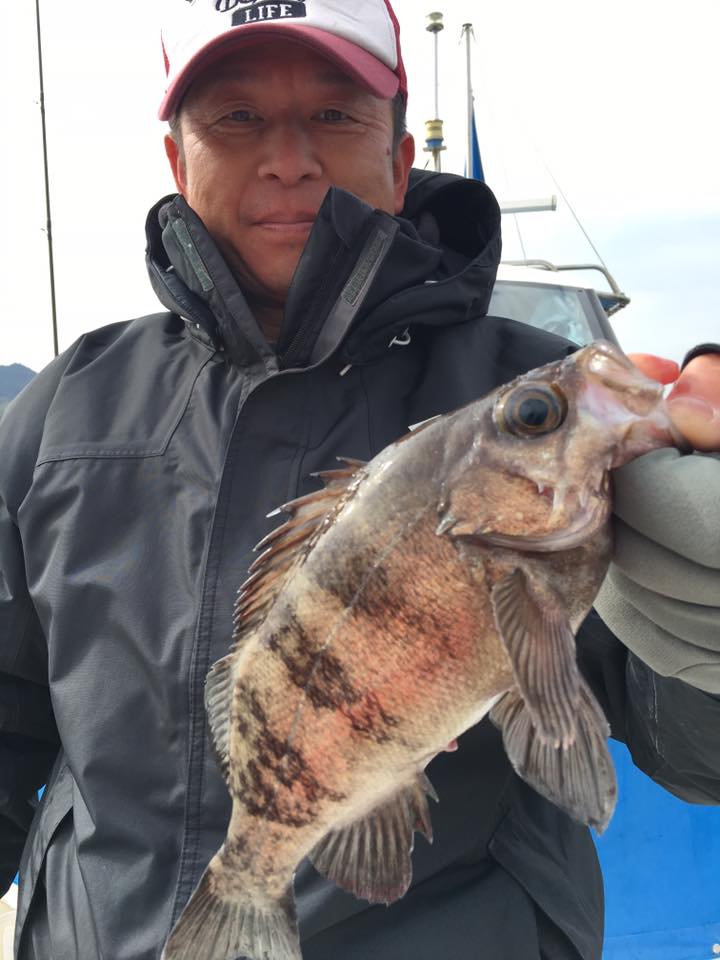 2017�N,4��2��,���o���ނ�,�މ�