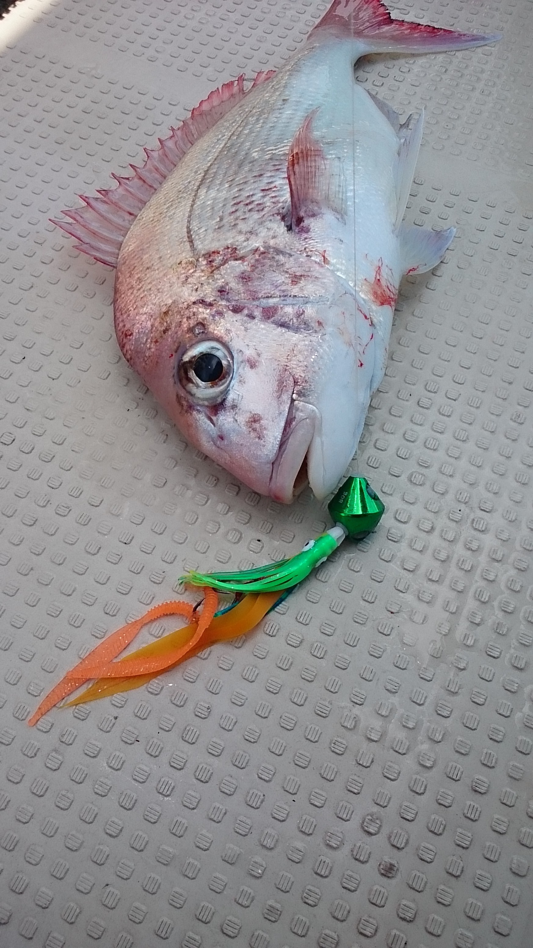 ���R,�V���D,�}�����Q�[�g,2017�N,6��4��,�^�C���o,�މ�