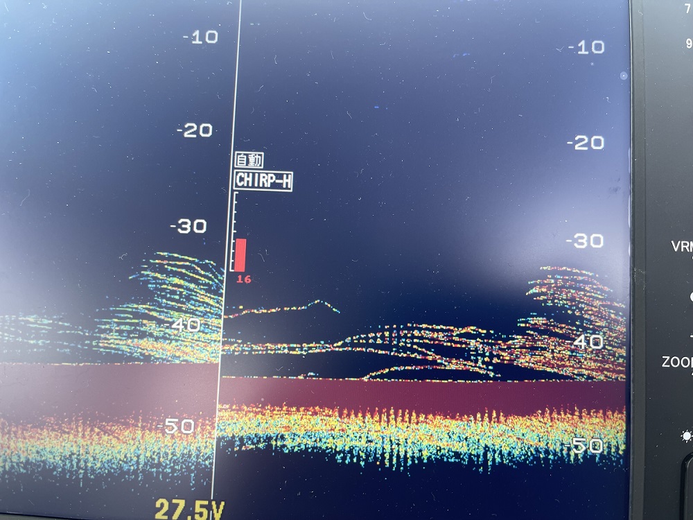1月4日のタイラバと鯛サビキの釣果情報/岡山県遊漁船HORIZON