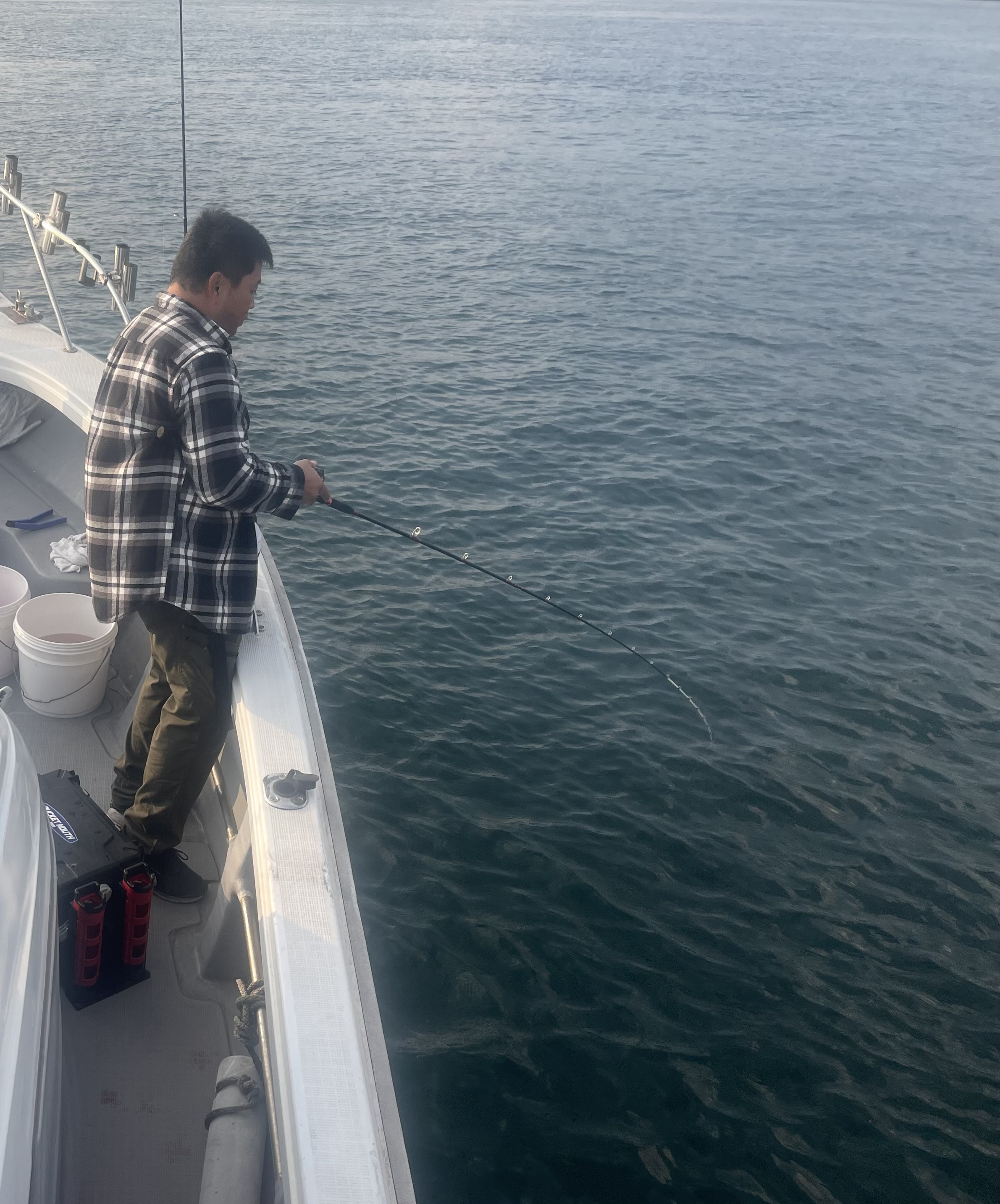 岡山県遊漁船HORIZON 一つテンヤ釣果情報