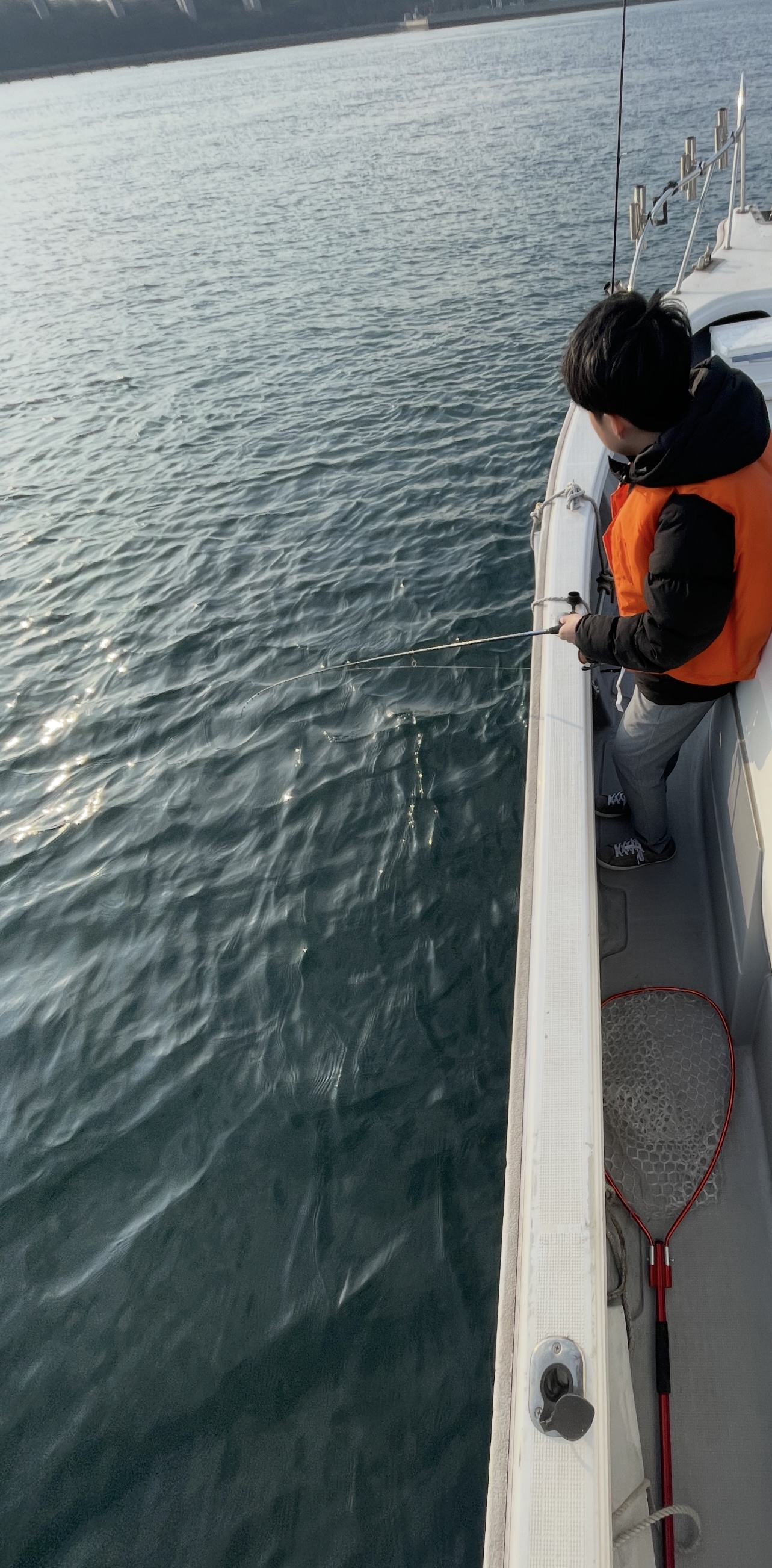 岡山県遊漁船HORIZON 一つテンヤ釣果情報