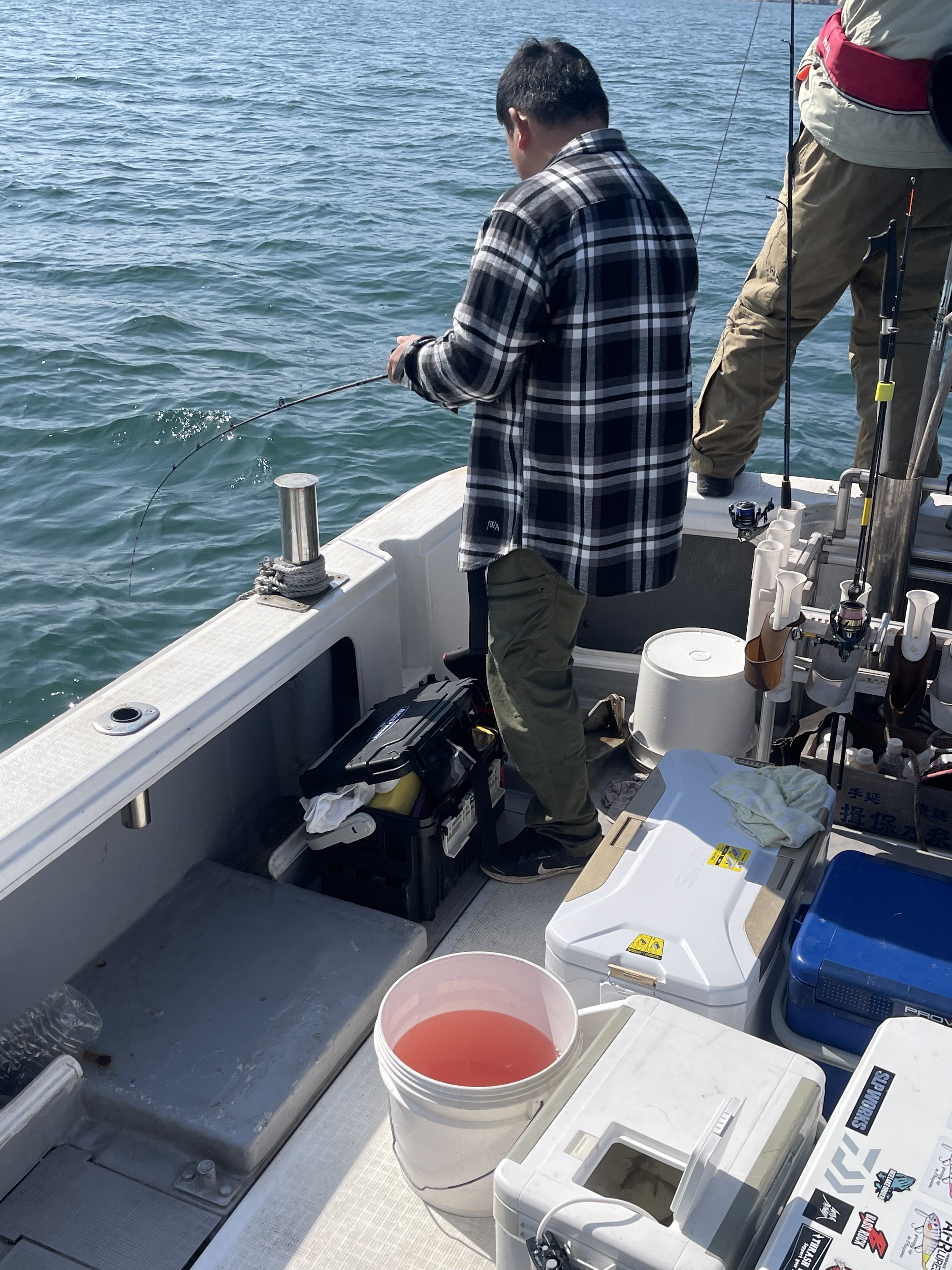 岡山県遊漁船HORIZON 一つテンヤ釣果情報