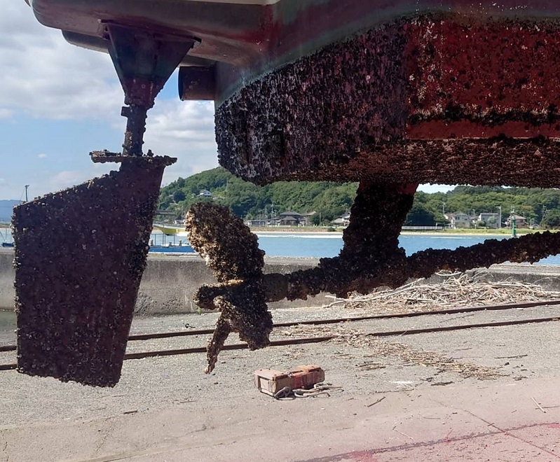 フジツボ大量付着。船艇掃除 遊漁船HORIZON